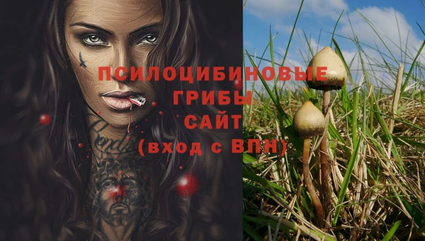 сатива Пролетарск