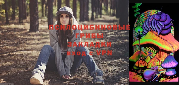 спиды Рославль