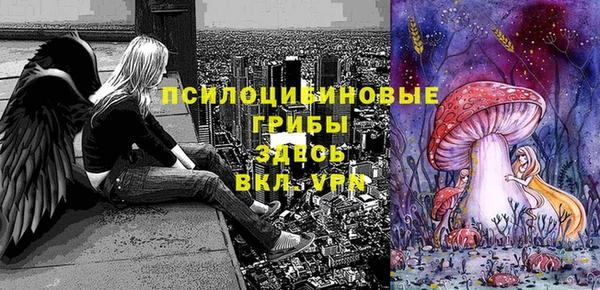 амф Ростов